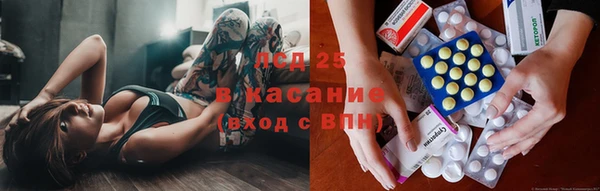 твердый Мегион