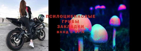 прущие крисы Медногорск