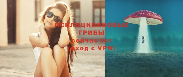 твердый Мегион