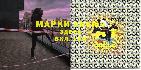 твердый Мегион