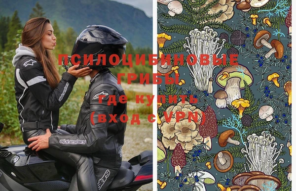 прущие крисы Медногорск