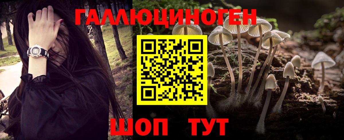 Псилоцибиновые грибы Cubensis Тихорецк