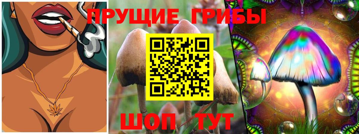 Тихорецк  Галлюциногенные грибы Magic Shrooms  как найти наркотики  Вход с VPN 