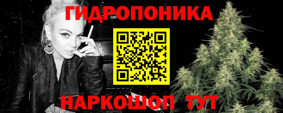 Бошки Шишки THC 21% Тихорецк